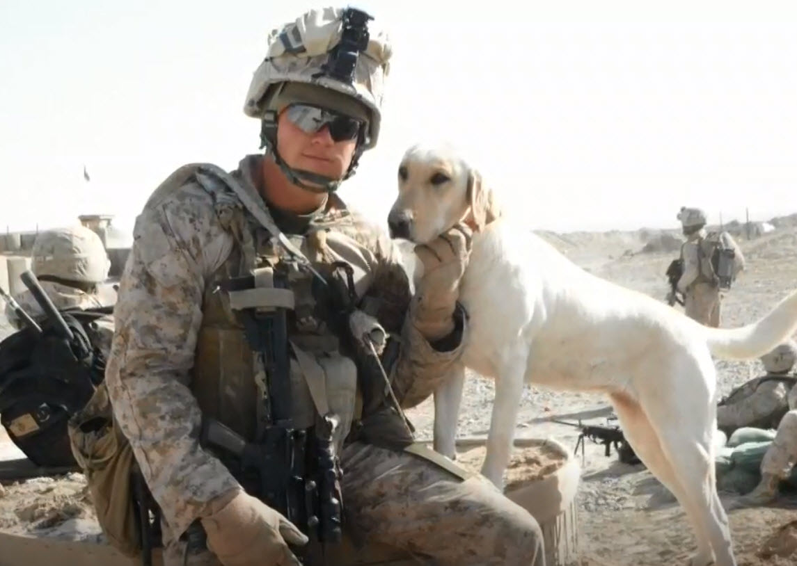 Illustration de l'article : Un soldat et son chien réunis 7 ans après leurs dernière mission